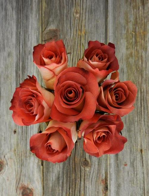 LEONIDAS  EARTH TONE ROSES